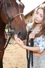 Horse Lover